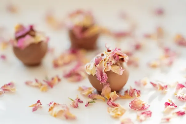 JokerBet Casino Android/iOS rakendus